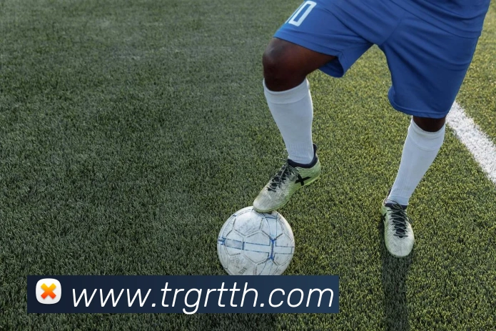 App Interface Preview