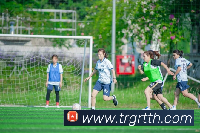 星空体育在线官网入口APP 封面图